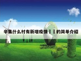 辛集什么村有新增疫情㊙️的简单介绍