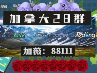 战狼pc预测网站在线㊙️：✍️加拿大2.0走势预测网站