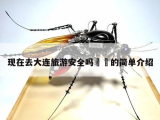 现在去大连旅游安全吗㊙️的简单介绍
